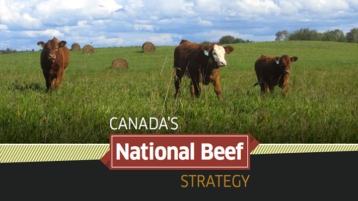 post-thumb-National-Beef-Strategy post-thumb-National-Beef-Strategy