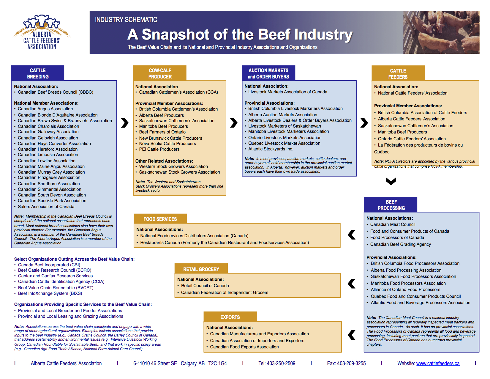 ACFA Beef Value Chain 15.07.04 copy ACFA Beef Value Chain 15.07.04 copy