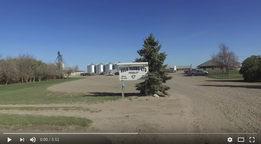 A day in the life of a feedlot operator