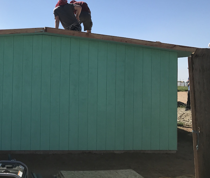 Alberta’s volunteer spirit shines among cattle feeders: meet Jacob Bueckert