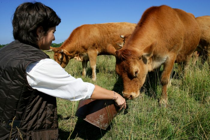 New HR Toolkit provides the building blocks for an effective farm safety program