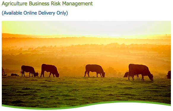 Helping cattle feeders manage business risk