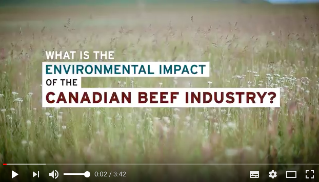4 things you should know about beef production and the environment