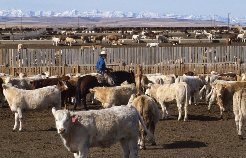 Canada’s agriculture sector needs help – and foreign workers are part of the solution