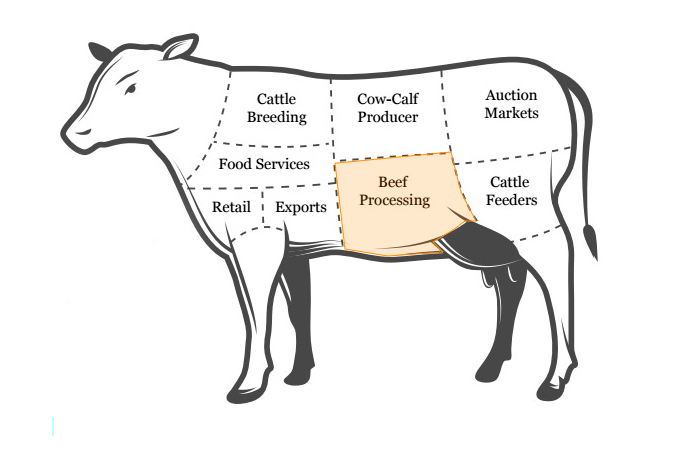 The 7 stages of beef cattle production