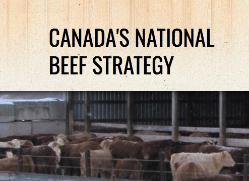 National Beef Strategy