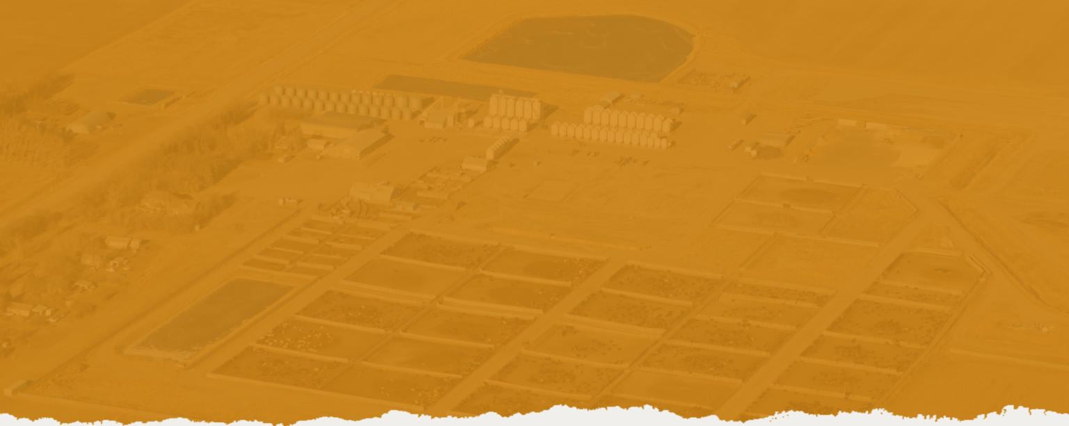 Alberta Livestock Power Services Alberta Cattle Feeders' Association