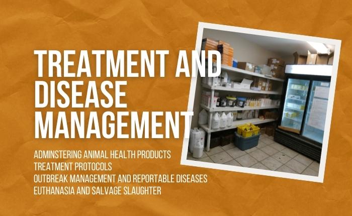 Treatment and Disease Management